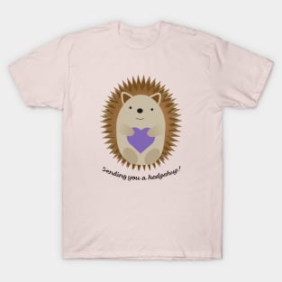 Sending You a Hedgehug Hedgehog T-Shirt